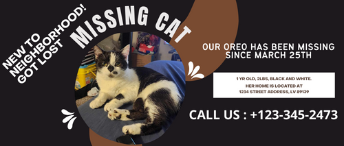 Brown Simple Missing Cat Poster (500 x 213 px) (1)