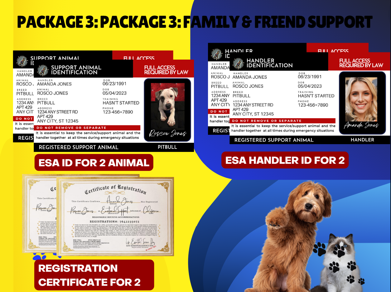 Package 3: Family & Friend Support