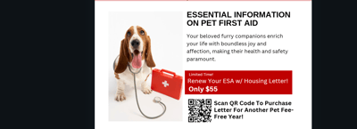 Essential Information on Pet First Aid
